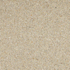 ÉCHANTILLON Ceralto Briano Grain carrelage mural et de sol - 60x60cm - 10mm - rectifié - R10 - grès cérame - beige (beige) SW1221081