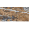 Imola The Room Vloertegel - 60X120 - 6.5mm - glans - grijs SW1578702