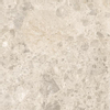 Ragno eterna carreau de sol et de mur 60x60cm 8,5mm rectifié r10 porcellanato beige SW767579