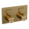 BRAUER Gold Edition - 2 functies - inbouwthermostaat - inbouwdeel - drukknoppen - in/afbouwdelen - goud geborsteld PVD SW925645