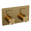 BRAUER Gold Edition Inbouwthermostaat - 2 functies - inclusief inbouwdeel - drukknoppen - geborsteld goud PVD SW925645
