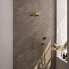 BRAUER Stripe Thermostatische Inbouw Regendouche - SET 05 - 25cm douchekop - gebogen muurarm - 3-standen handdouche - doucheslang - wandaansluitbocht - goud geborsteld PVD SW1434839