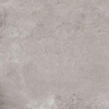 ÉCHANTILLON Ceralto Castagno Oak Carrelage sol et mur 60x60cm 9mm R10 Cinza SW912127