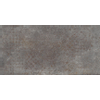 Terravito Sigillo carrelage murale et de sol - 59.5x119.5cm - 8mm - rectifié - effet béton - brun/ gris SW863183