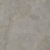 ÉCHANTILLON Terravito Waldoro carreau mural et de sol - 120x120cm - 10.7mm - Carré - rectifié - Aspect marbre - Gris Poli SW735783