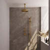 BRAUER Stripe Thermostatische Inbouw Regendouche - SET 09 - 25cm douchekop - plafondarm - staaf handdouche - doucheslang - geïntegreerde glijstang - goud geborsteld PVD SW1434840