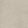 Ceralto Roccato Mineral Carrelage de sol - 120X120 - 6.5mm - mat - beige foncé SW1578862