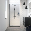 Sealskin Contour porte pivotante pour niche 100 cm, 200 cm de hauteur, noir, verre de sécurité clair 6 mm SW296202