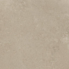 SAMPLE Ceralto Levanto Select Vloertegel - 60X60 - 10mm - mat - donker beige SW1591686