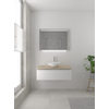 Bruynzeel Giro badmeubelset 49x100x46cm 1 wasbak 1 lade met spiegel met softclose composite mat wit SW384248 Bruynzeel Giro badmeubelset 49x100x46cm 1 wasbak 1 lade met spiegel met softclose composite mat wit SW384248