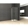 Cabine Wiesbaden Salone avec 1 porte pivotante 900 x 900 x 2000 x 8 mm verre nano clair/noir mat SW545136