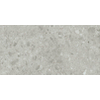 Baldocer cerámica steel 60x120 rectifié carrelage sol et mur gris mat SW679808