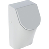Geberit 300 Urinals 300 urinoir - 32.5x30cm - met achterinlaat - met urinoirdeksel - wit SW417565