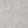 ÉCHANTILLON Terravito Larino Pearl mat 60x60 rett SW1221583