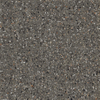 Terravito Damico Carreau de sol et de mur - 60x60cm - rectifié - mat Anthracite SW997382