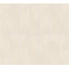Carrelage mural et de sol Ceramic-Apolo Piazen - 59x59cm - 10mm - rectifié - Porcellanato - Iron (Gris) SW1174969