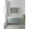 Bruynzeel Box badmeubelset 150x45cm 2 kraangaten 2 wasbakken 2 lades met spiegelkast met softclose composite fjord groen SW384000 Bruynzeel Box badmeubelset 150x45cm 2 kraangaten 2 wasbakken 2 lades met spiegelkast met softclose composite fjord groen SW384000
