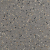 Ceralto Granulo Terrazzo Carreau de sol - 59.7x59.7cm - 10.5mm - Anthracite SW1471185