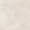 Ceralto Aurelio Polished Vloertegel - 100x100cm - 8.5mm - gerectificeerd - Bianco SW1212454