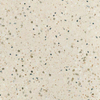 Ceralto Granulo Terrazzo Vloertegel - 59.7x59.7cm - 10.5mm - White SW1471180