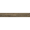 ÉCHANTILLON Terravito Novaro Walnut 20x120 rett SW1221670