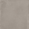 Imola Azuma Vloertegel - 120X120 - 6.5mm - mat - zilver SW1579064