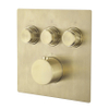 Wiesbaden Caral Klik Pro afbouwdeel inbouwthermostaat 3 functies geborsteld messing SW717356 Wiesbaden Caral Klik Pro afbouwdeel inbouwthermostaat 3 functies geborsteld messing SW717356