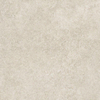 ÉCHANTILLON Terravito Orvico Pearl carreau mural et de sol - 60x60cm - 10mm - Carré - rectifié - Aspect pierre naturelle - gris clair mat SW736045