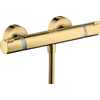 Hansgrohe Ecostat Comfort Douchekraan - thermostatisch - met koppelingen - thermostaat - glans goud SW358656