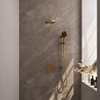 BRAUER Gold Edition thermostatische Inbouw Regendouche - 3-weg - rond - set 93 - 20cm hoofddouche - gebogen muurarm - 3-standen handdouche - doucheslang - geïntegreerde glijstang - goud geborsteld PVD SW1159045