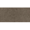 Ceralto Gravito Raw Vloertegel - 60x120cm - 9.0mm - gerectificeerd - Tobacco SW1529516