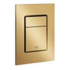 Grohe Skate cosmopolitan 2-knops S-size bedieningsplaat cool sunrise geborsteld SW242307 Grohe Skate cosmopolitan 2-knops S-size bedieningsplaat cool sunrise geborsteld SW242307