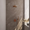 BRAUER Stripe Thermostatische Inbouw Regendouche - 3-weg - rond - SET 38 - 25cm douchekop - gebogen muurarm - staaf handdouche - doucheslang - wandaansluitbocht - koper geborsteld PVD SW1434937