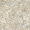 ÉCHANTILLON Ceralto Lazaro Marble Carrelage de sol - 60x60cm - 8.0mm - rectifié - Beige SW1557830