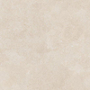 Ceralto Inlay Uno Vloertegel - 59.8x59.8cm - 9.0mm - gerectificeerd - Light beige SW497681