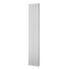 Plieger Siena radiateur design vertical double 1800x318mm 1096W noir 7253209