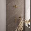BRAUER Stripe Thermostatique Douche de Pluie Encastrable - SET 04 - Pomme de douche 25cm - Bras mural droit - Douchette 3 positions - Flexible de douche - Coude mural - Or brossé PVD SW1434835
