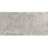 Ceralto Palazzo Vein Carrelage de sol - 120x60cm - 9.5mm - rectifié - Evergreige SW1242755
