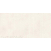 Ceralto Lazaro Bande décorative - 59,5x119,5cm - 9,0mm - rectifié - Pure SW1130001