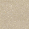 Ceralto Karavero vloer- en wandtegel - 60x60cm - 9mm - gerectificeerd - R10 - mat arena SW1598572