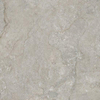 JOS. Carrelage de sol Panorama - 59,5x59,5cm - 9,5mm - rectifié - Naturel SW1242703