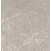 SAMPLE Ceralto Statuva Marble Vloertegel - 60x60cm - 9.0mm - gerectificeerd - Grey dolomia SW1474534