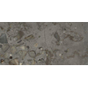 Ceralto Elaris Oak Carreau de sol - 30x60cm - 9.0mm - rectifié - Sassi anthracite p SW1242804