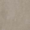 Porcelaingres Dune Carrelage de sol et de mur - 120x60cm - 8mm - rectifié - Coquillage (Taupe) SW1171168