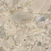 Ceralto Elaris Oak Vloertegel - 60.4X60.4 - 9mm - mat - moss SW1591288