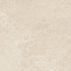 Ceralto Minuta Core Décor-latte - 60x60cm - 8,0mm - rectifié - Crème SW1171278