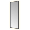 Hotbath &MORE Spiegel - 30x80cm - direct en indirect LED - color changing - dimbaar - met afstandsbediening - PVD - geborsteld zwart SW1246045