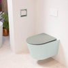 Mondiaz LAVIE hangtoilet – spoelrandloos – 36 x 53 cm – met softclose zitting – Greey (lichtgroen/grijs), zitting Smoke (lichtbruin) SW1208729