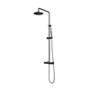 BRAUER Black Edition ensemble de douche pluie apparent – douche de tête Ø 20 cm – barre de douche – douchette bâton – barre de douche 145 cm SW1164748