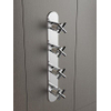 Hotbath Chap thermostaat inbouw met 3 stopkranen geborsteld nikkel SW11417 Hotbath Chap thermostaat inbouw met 3 stopkranen geborsteld nikkel SW11417